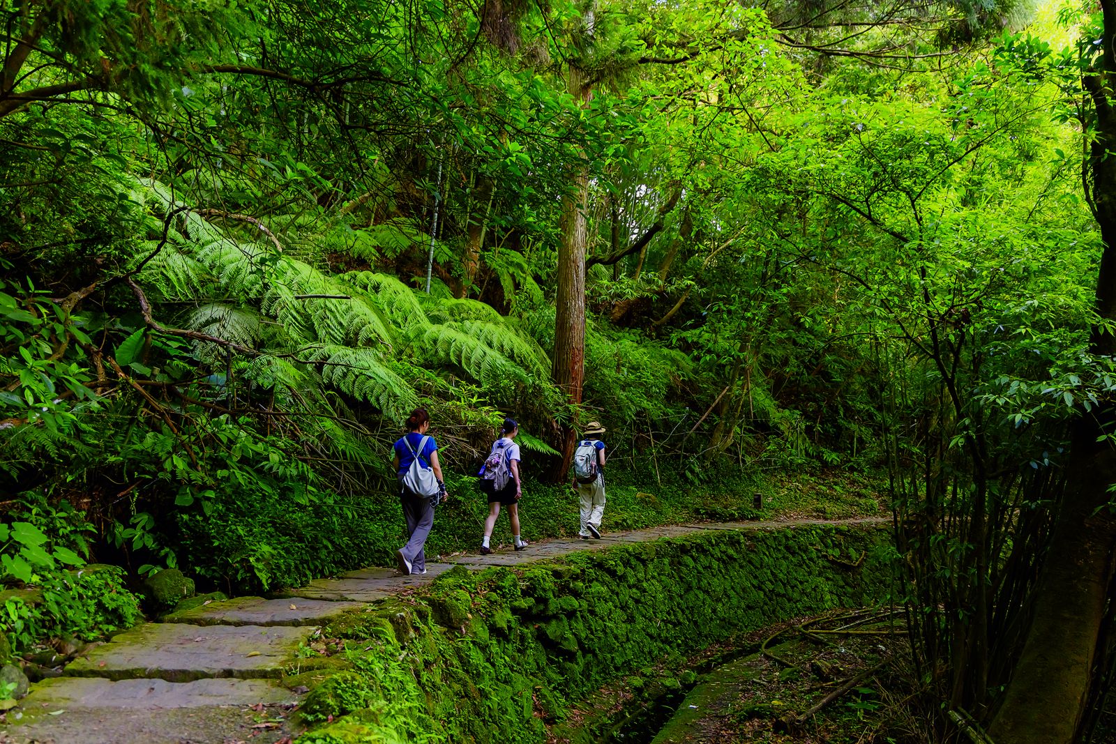 石階步道